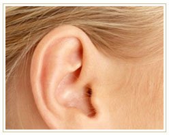 Slider image (5) Villa Bella | Dubai